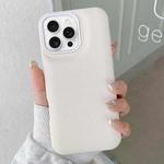 For iPhone 16 Pro Leather Texture Phone Case(White)