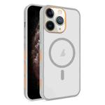For iPhone 11 Pro Max Frosted Translucent Side Ice Fog Cooling MagSafe Phone Case(Grey)