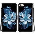 For iPhone 7 / 8 / SE 2022 Crystal Texture Colored Drawing Leather Phone Case(Black Orchid)