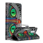 For iPhone 12 / 12 Pro Painted Pattern Horizontal Flip Leather Case with Holder & Card Slots & Photo Frame(Green Eyed Owl)