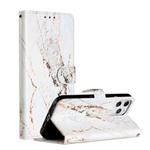 For iPhone 12 Pro Max Painted Pattern Horizontal Flip Leather Case with Holder & Card Slots & Photo Frame(White Gravel)