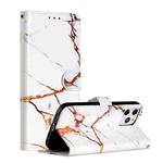 For iPhone 12 Pro Max Painted Pattern Horizontal Flip Leather Case with Holder & Card Slots & Photo Frame(Platinum Marble)