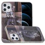 For iPhone 12 Pro Max Painted Pattern TPU Protective Case(Cat Tiger)