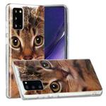 For Samsung Galaxy Note20 Painted Pattern TPU Protective Case(Gaffe)