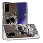 For Samsung Galaxy Note20 Painted Pattern TPU Protective Case(Glasses Cat)