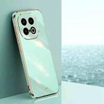 For vivo iQOO 13 XINLI Straight 6D Plating Gold Edge TPU Phone Case(Mint Green)