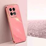 For vivo iQOO 13 XINLI Straight 6D Plating Gold Edge TPU Phone Case(Hawthorn Red)