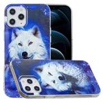 For iPhone 12 Pro Max Luminous TPU Soft Protective Case(Starry Sky Wolf)