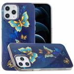 For iPhone 12 Pro Max Luminous TPU Soft Protective Case(Double Butterflies)