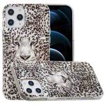 For iPhone 12 Pro Max Luminous TPU Soft Protective Case(Leopard Tiger)