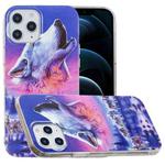 For iPhone 12 Pro Max Luminous TPU Soft Protective Case(Seven Wolves)