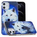 For iPhone 12 / 12 Pro Luminous TPU Soft Protective Case(Starry Sky Wolf)
