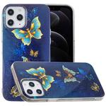 For iPhone 12 / 12 Pro Luminous TPU Soft Protective Case(Double Butterflies)