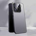 For Xiaomi 15 Ice Aluminum Metal Explosion-proof Frosted Phone Case(Silver)