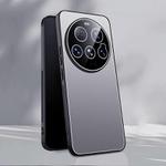 For Xiaomi 15 Ultra Ice Aluminum Metal Explosion-proof Frosted Phone Case(Silver)