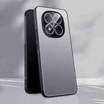 For Redmi Note 14 Pro+ 5G Ice Aluminum Metal Explosion-proof Frosted Phone Case(Silver)