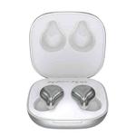 REMAX TWS-12 Bluetooth 5.0 Metal True Wireless Bluetooth Stereo Music Earphone with Charging Box(Silver)