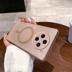 For vivo X100s Fine Hole Ice Fog MagSafe PC Phone Case(Gold)
