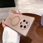 For Xiaomi 13 Ultra Fine Hole Ice Fog MagSafe PC Phone Case(Gold)