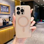 For iPhone 15 Pro Max Fine Hole Ice Fog MagSafe PC Phone Case(Gold)