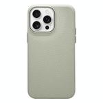 For iPhone 12 Pro Max Litchi Texture TPU Phone Case(Rock White)