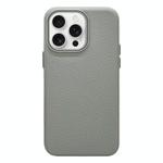 For iPhone 12 Pro Max Litchi Texture TPU Phone Case(Grey)