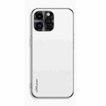 For iPhone 12 Pro AG Frosted Electroplating Acrylic Phone Case(Silver White)