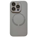 For iPhone 15 Pro Max Small Window Acrylic Glass Lens MagSafe Silicone Phone Case(Grey)