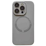 For iPhone 12 Pro Small Window Acrylic Glass Lens MagSafe Silicone Phone Case(Grey)
