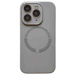 For iPhone 11 Pro Max Small Window Acrylic Glass Lens MagSafe Silicone Phone Case(Grey)