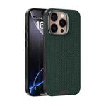 For iPhone 16 Pro Max ABEEL Ruyi Pattern 6D Micro Relief MagSafe Leather Phone Case(Green)