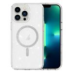 For iPhone 13 Pro Max Clear Glitter Powder MagSafe Phone Case(Transparent)