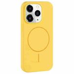For iPhone 11 Pro Max Large Hole Camera MagSafe Liquid Silicone Full Coverage Phone Case(Creamy)