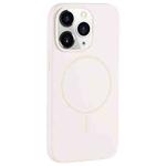 For iPhone 11 Pro Large Hole Camera MagSafe Liquid Silicone Full Coverage Phone Case(Antique White)