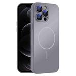 For iPhone 12 Pro Thin Circle MagSafe Skin-feel AG Glass Phone Case(Titanium Gray)