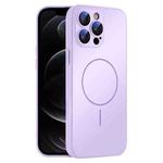 For iPhone 12 Pro Thin Circle MagSafe Skin-feel AG Glass Phone Case(Purple)