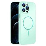 For iPhone 12 Pro Max Thin Circle MagSafe Skin-feel AG Glass Phone Case(Light Cyan)