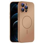 For iPhone 12 Pro Max Thin Circle MagSafe Skin-feel AG Glass Phone Case(Desert Gold)