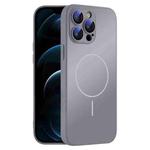 For iPhone 12 Pro Max Thin Circle MagSafe Skin-feel AG Glass Phone Case(Titanium Gray)