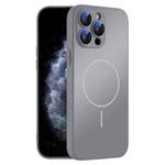 For iPhone 11 Pro Max Thin Circle MagSafe Skin-feel AG Glass Phone Case(Titanium Gray)