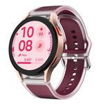 For Samsung Galaxy Watch 7  / 6 / 5 / 4 Kalebol Glacier Transparent Silicone Watch Band(Wine Red)