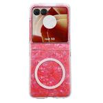 For Motorola Razr 50 Pearlescent Shell Texture MagSafe Phone Case(Red)