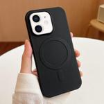For iPhone 11 Stripe MagSafe TPU Phone Case(Black)