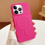 For iPhone 13 Pro Max Stripe MagSafe TPU Phone Case(Rose Red)