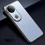 For vivo S20 Frosted Metal Phone Case(Blue)