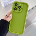 For iPhone 13 Pro Max Shockproof Frame Frosted Precise Hole TPU Phone Case(Fluorescent Green)