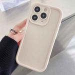 For iPhone 11 Pro Max Shockproof Frame Frosted Precise Hole TPU Phone Case(White)
