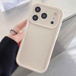 For iPhone 17 Pro Max Shockproof Frame Frosted Precise Hole TPU Phone Case(White)