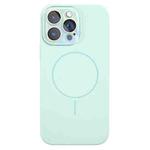 For iPhone 13 Pro Max Thin Circle MagSafe Liquid Silicone Phone Case(Emerald Green)