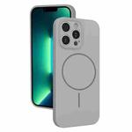 For iPhone 13 Pro Max Thin Circle MagSafe Fine Hole Liquid Silicone Phone Case(Titanium Grey)